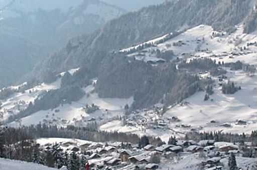 Skigebied - Espace Diamant (1000 - 2069 meter)