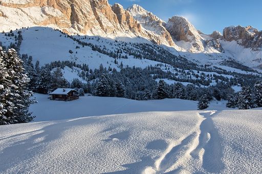 Sneeuwzeker op wintersport