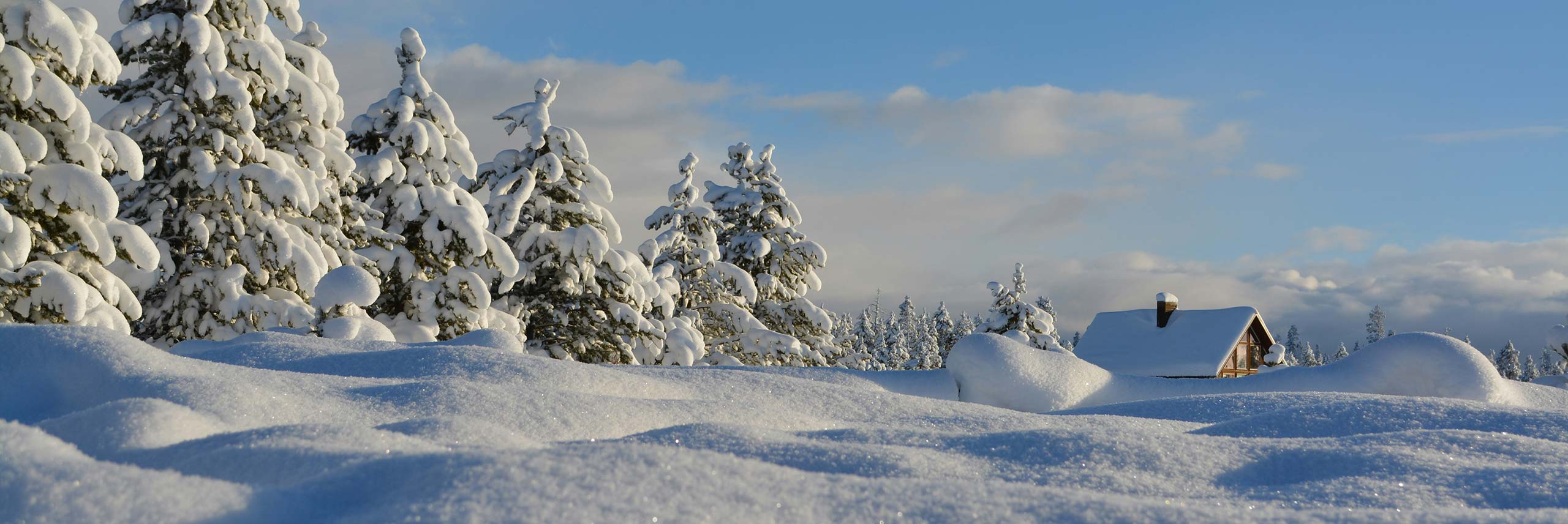 Wintersport in Campitello di Fassa